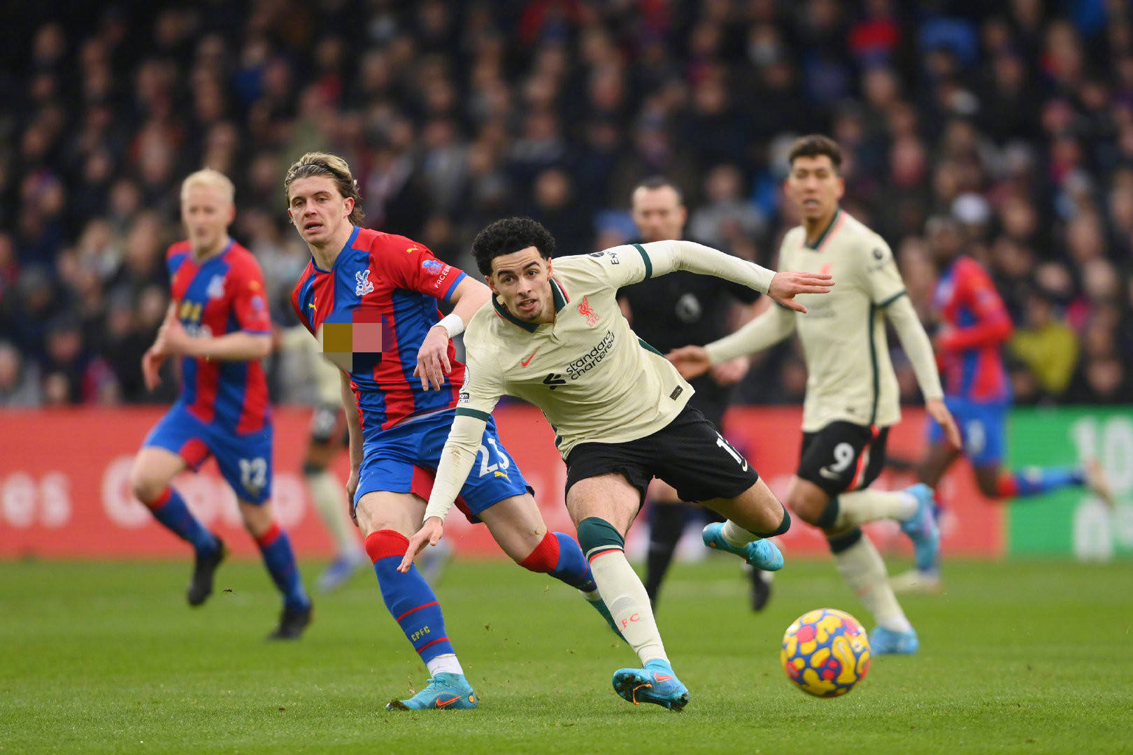 他出色的长 他出色的长