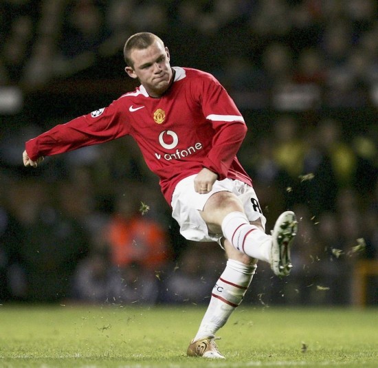 如今已回到 如今已回到