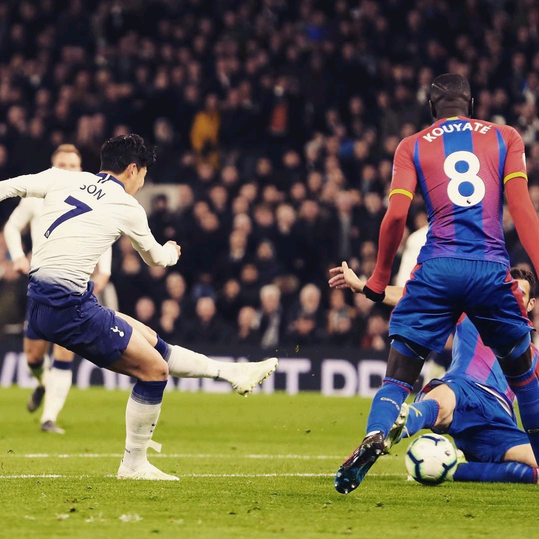 帕利尼亚的 帕利尼亚的